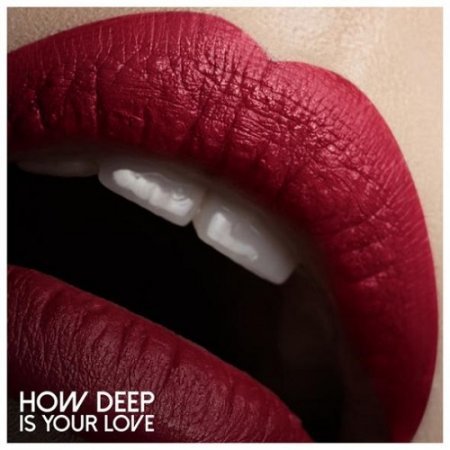 VA - How Deep Is Your Love